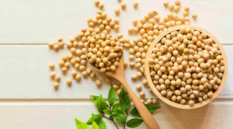 The Brightening Benefits of Soybeans JOHNSON S Skincare Middle East